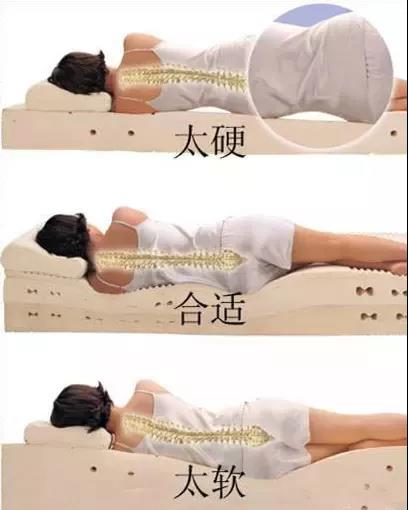 【健康科普系列十七】腰痛如何选择合适的床垫